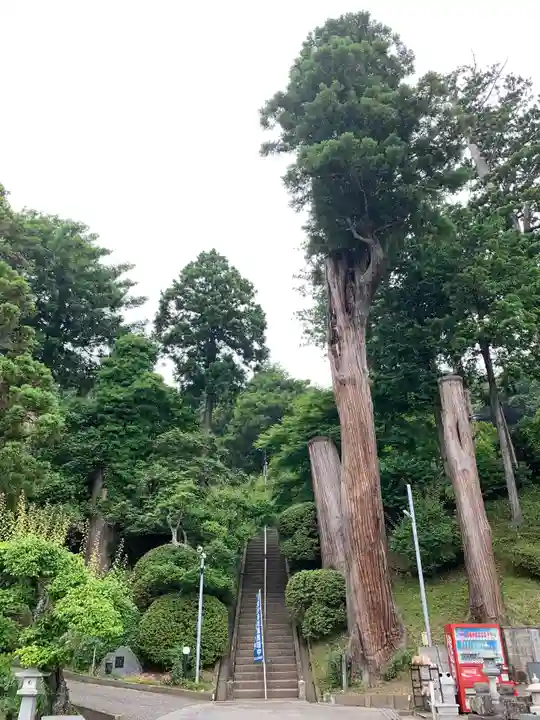 最福寺のその他建物