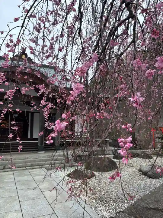 善行寺の{uncategorized: "未分類", other: "その他", undefined: "問題あり", building: "その他建物", grave: "お墓", sacred_gate: "鳥居", guardian: "狛犬", statue: "像", buddha: "仏像", history: "歴史", nature: "自然", garden: "庭園", animal: "動物", pagoda: "塔", temizu: "手水舎", mountain_gate: "山門・神門", sanctuary: "本殿・本堂", subordinate: "末社・摂社", art: "芸術", scenery: "景色", jizo: "地蔵", ema: "絵馬", goshuin: "御朱印", omikuji: "おみくじ", items: "授与品その他", amulet: "お守り", goshuincho: "御朱印帳", eats: "食事", festival: "お祭り", votive_dance: "神楽", shichigosan: "七五三参", wedding: "結婚式", experience: "体験その他", initially: "初詣", around: "周辺", anti_infection: "感染症対策"}