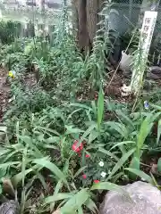 川原神社の自然