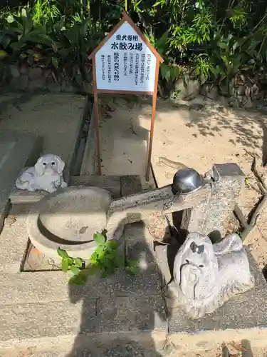 弓弦羽神社(兵庫県)