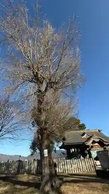 十二柱神社(徳島県)