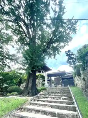金蔵寺(三重県)