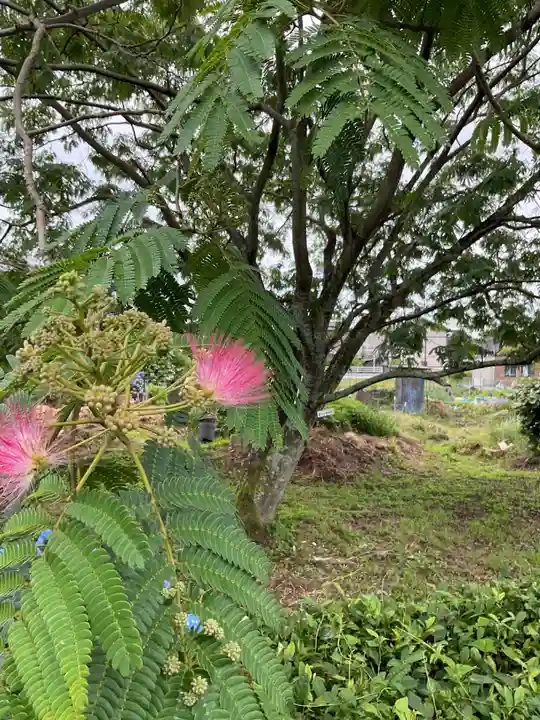 安穏寺(愛知県)