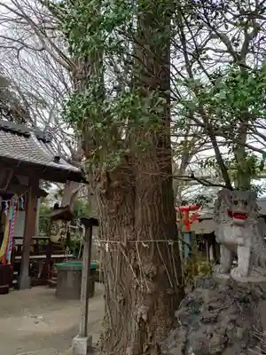 厳島神社(千葉県)