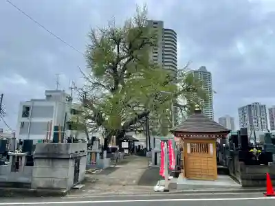 真福寺(埼玉県)