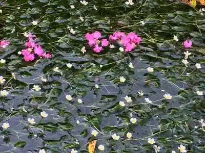 加茂神社の自然
