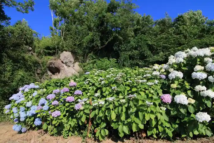 滑川不動尊の庭園