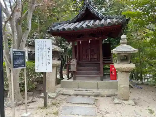 玉井宮東照宮の{uncategorized: "未分類", other: "その他", undefined: "問題あり", building: "その他建物", grave: "お墓", sacred_gate: "鳥居", guardian: "狛犬", statue: "像", buddha: "仏像", history: "歴史", nature: "自然", garden: "庭園", animal: "動物", pagoda: "塔", temizu: "手水舎", mountain_gate: "山門・神門", sanctuary: "本殿・本堂", subordinate: "末社・摂社", art: "芸術", scenery: "景色", jizo: "地蔵", ema: "絵馬", goshuin: "御朱印", omikuji: "おみくじ", items: "授与品その他", amulet: "お守り", goshuincho: "御朱印帳", eats: "食事", festival: "お祭り", votive_dance: "神楽", shichigosan: "七五三参", wedding: "結婚式", experience: "体験その他", initially: "初詣", around: "周辺", anti_infection: "感染症対策"}