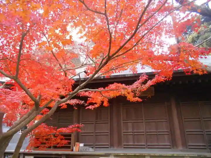 長勝寺の本殿・本堂