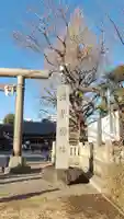 浅草神社の鳥居