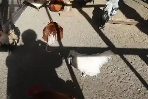 岩槻久伊豆神社(埼玉県)