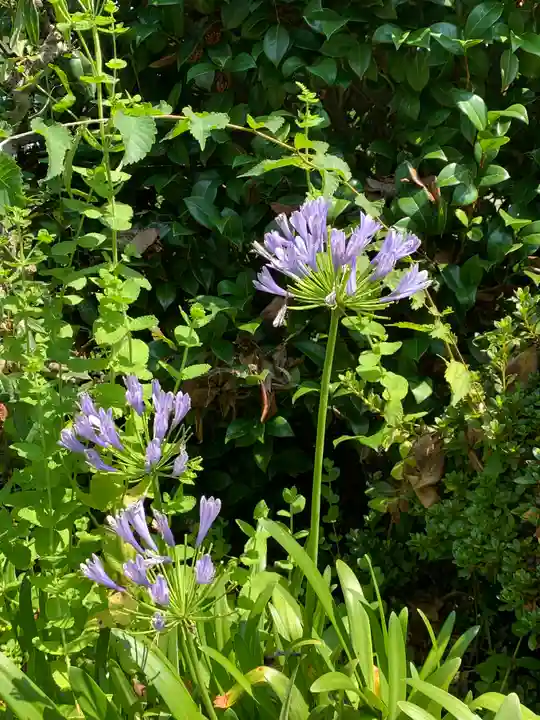 長泉寺(栃木県)