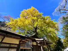 来迎院(奈良県)