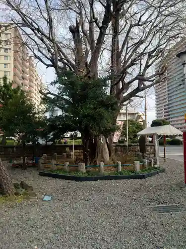 磐井神社(東京都)