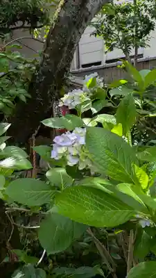 宝蔵寺(京都府)