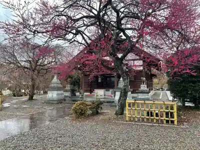 八幡宮の{uncategorized: "未分類", other: "その他", undefined: "問題あり", building: "その他建物", grave: "お墓", sacred_gate: "鳥居", guardian: "狛犬", statue: "像", buddha: "仏像", history: "歴史", nature: "自然", garden: "庭園", animal: "動物", pagoda: "塔", temizu: "手水舎", mountain_gate: "山門・神門", sanctuary: "本殿・本堂", subordinate: "末社・摂社", art: "芸術", scenery: "景色", jizo: "地蔵", ema: "絵馬", goshuin: "御朱印", omikuji: "おみくじ", items: "授与品その他", amulet: "お守り", goshuincho: "御朱印帳", eats: "食事", festival: "お祭り", votive_dance: "神楽", shichigosan: "七五三参", wedding: "結婚式", experience: "体験その他", initially: "初詣", around: "周辺", anti_infection: "感染症対策"}