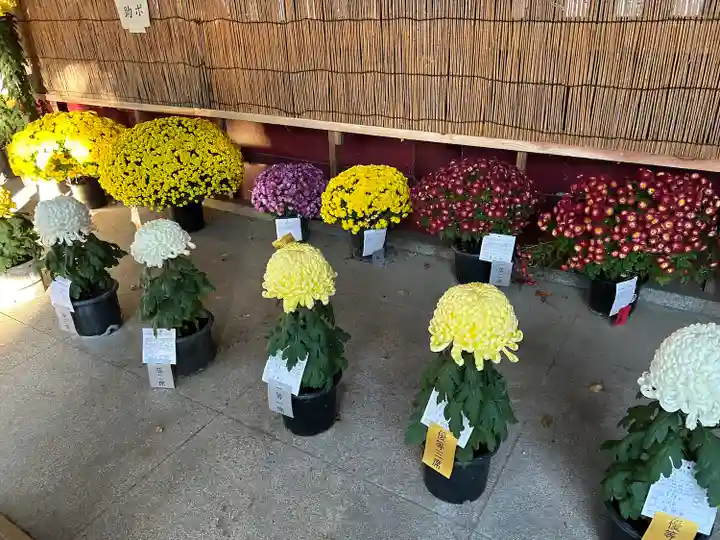 笠間稲荷神社(茨城県)