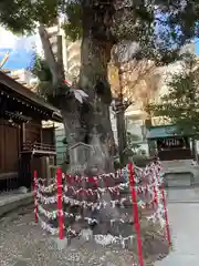 三輪神社(愛知県)