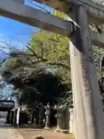 上野東照宮の鳥居