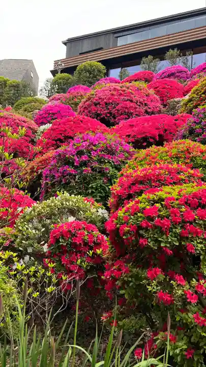根津神社(東京都)