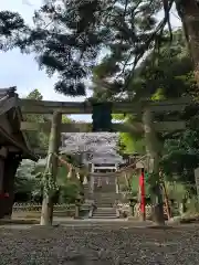 百々神社の鳥居