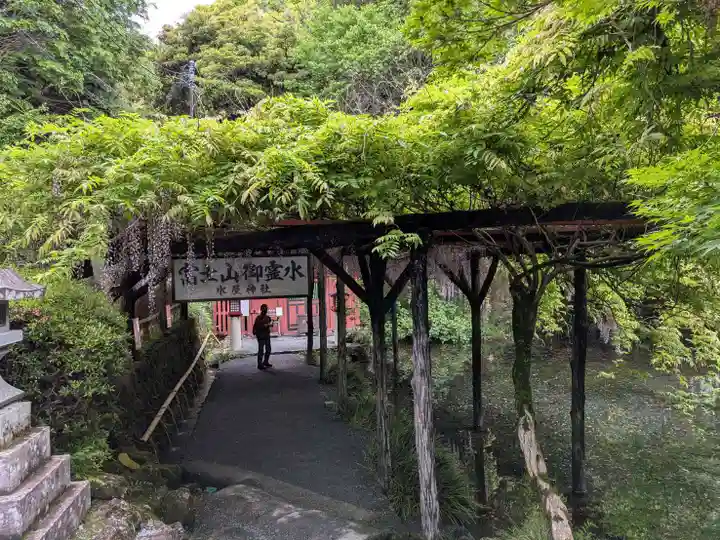 富士山本宮浅間大社(静岡県)