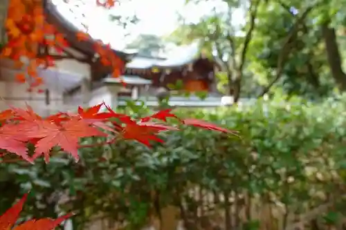 辛國神社の庭園