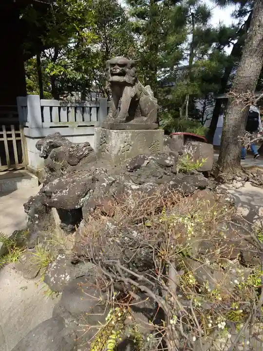 白幡天神社の狛犬