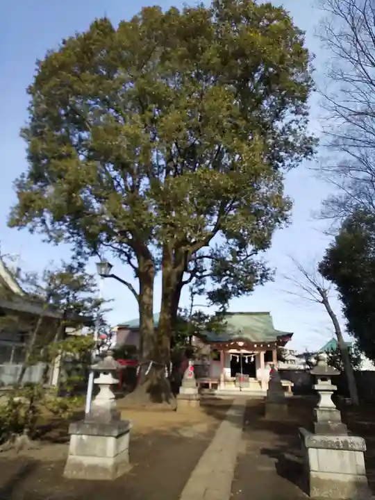 和田稲荷神社の自然