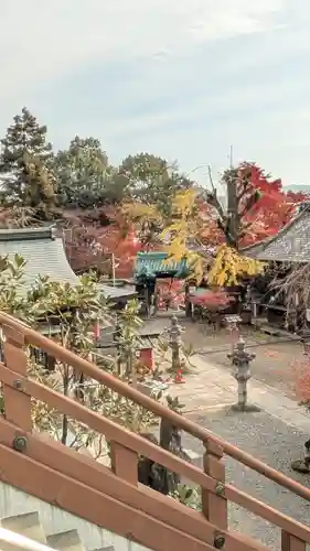 松ヶ崎大黒天 妙圓寺（妙円寺）(京都府)