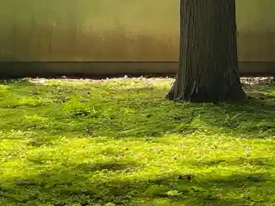 慈雲寺(長野県)