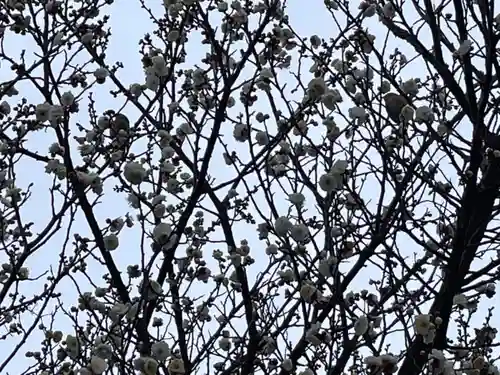 兵主神社の自然