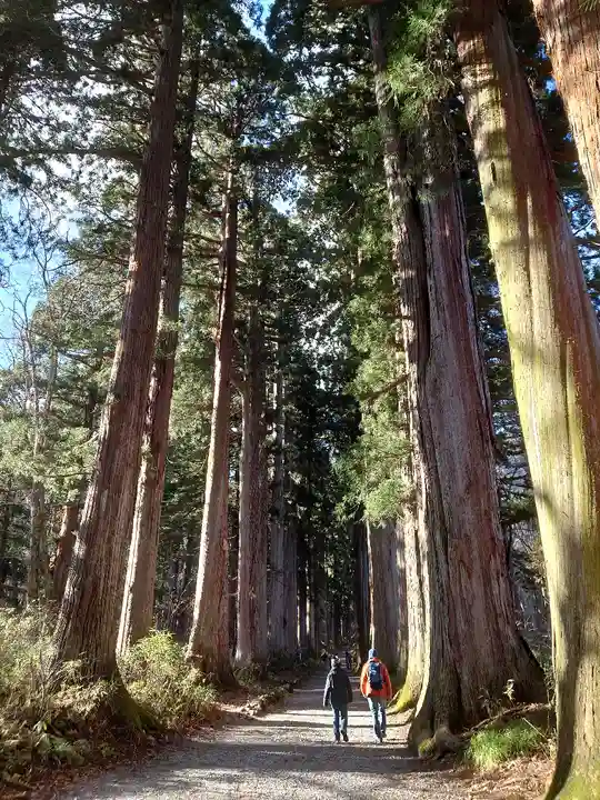 戸隠神社奥社(長野県)