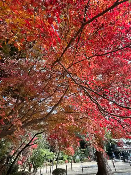 石清水八幡宮(京都府)