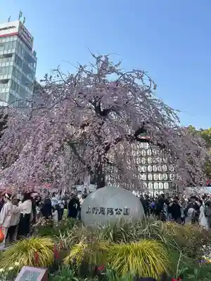 花園稲荷神社(東京都)