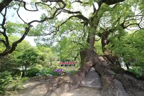 太宰府天満宮の庭園