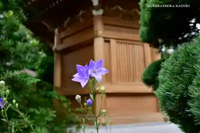 真光寺(東京都)