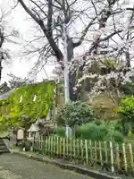 阿智神社の自然