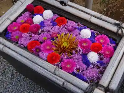 法輪寺の手水舎