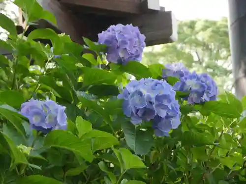 伊勢山皇大神宮の自然