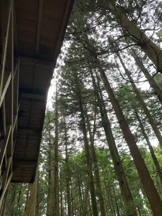 平田神社の自然