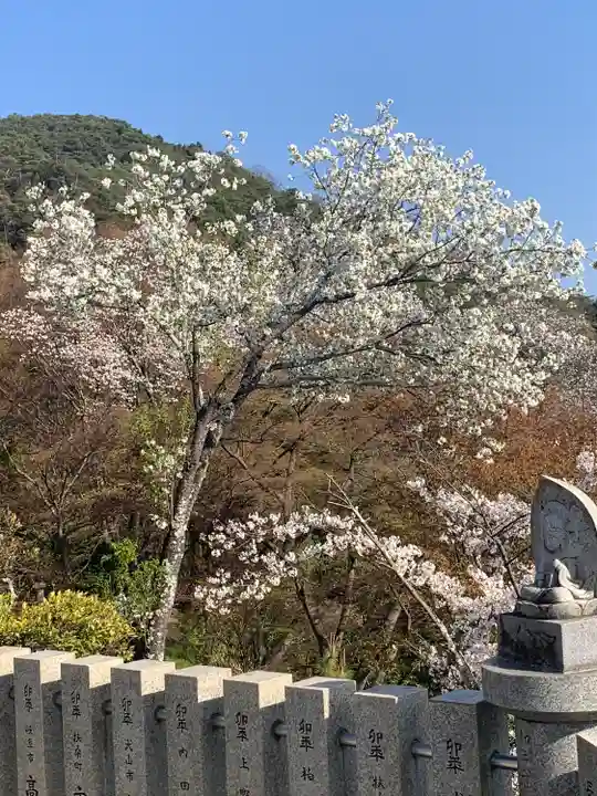 犬山寂光院の自然