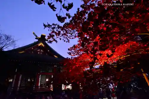 大山阿夫利神社(神奈川県)