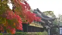 賀茂御祖神社（下鴨神社）の建物その他