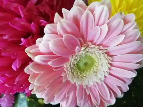 豊景神社(福島県)