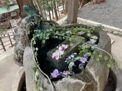 新倉富士浅間神社(山梨県)