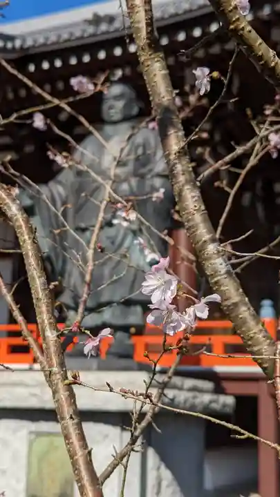 本圀寺(京都府)