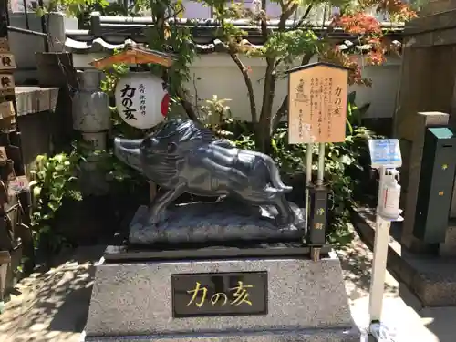 摩利支天 徳大寺の狛犬