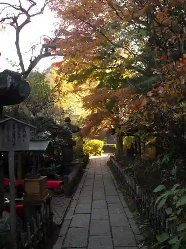 安國論寺（安国論寺）の庭園