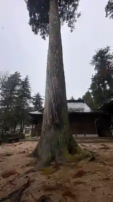 波賀八幡神社(兵庫県)